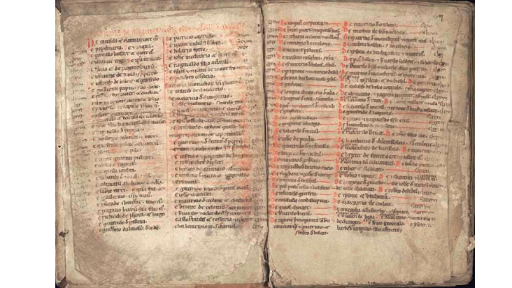 Cartulaire de Notre-Dame de la Roë conservé aux Archives de la Mayenne